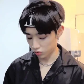 🪶 emoji — kim sunwoo ˖࣪ ·﹆ @gicelyra Telegram sticker 21 of 32