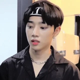 🪶 emoji — kim sunwoo ˖࣪ ·﹆ @gicelyra Telegram sticker 23 of 32