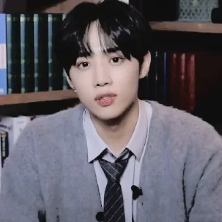 🪶 emoji — kim sunwoo ˖࣪ ·﹆ @gicelyra Telegram sticker 7 of 32
