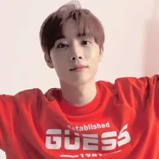 🪶 emoji — kim sunwoo ˖࣪ ·﹆ @gicelyra Telegram sticker 19 of 32