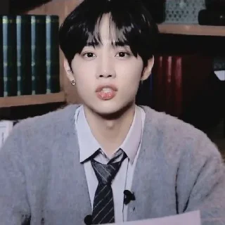 🪶 emoji — kim sunwoo ˖࣪ ·﹆ @gicelyra Telegram sticker 12 of 32