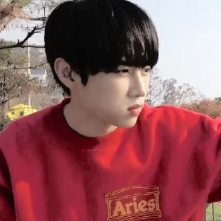 🪶 emoji — kim sunwoo ˖࣪ ·﹆ @gicelyra Telegram sticker 14 of 32