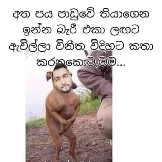 🙈 emoji 999 ළාමක සිපයියෝ Telegram sticker 9 of 33
