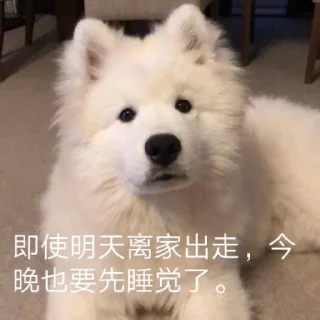 😂 emoji 萨摩耶(Samoyed) & more by @momo_li ⭐️ Telegram sticker 7 of 120