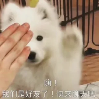 🙃 emoji 萨摩耶(Samoyed) & more by @momo_li ⭐️ Telegram sticker 15 of 120
