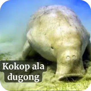 😀 emoji Dugong Telegram sticker 15 of 22