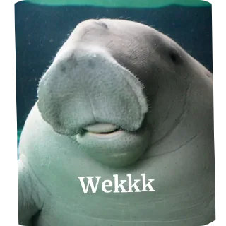 🖼 emoji Dugong Telegram sticker 19 of 22