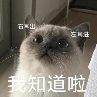 Sticker from 小菜的沙雕图包5 @CrcEsy