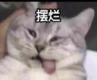 👀 emoji 小菜的沙雕图包5 @CrcEsy Telegram sticker 13 of 120