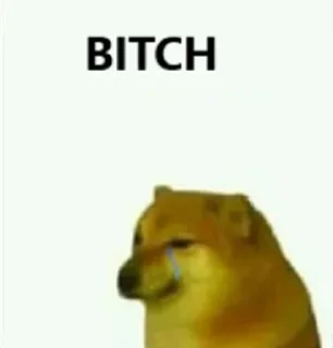 🤬 emoji SHIBA INU Telegram sticker 22 of 24
