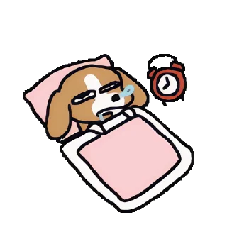 🛏️ emoji 暹罗厘普 动态版 更多贴纸在 @riridoafflinks Telegram sticker 16 of 33