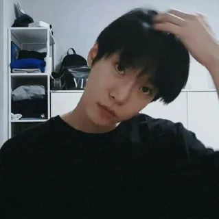 Sticker from doyoung kim @WOODZSTCAN