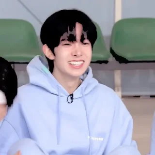 ☘ emoji ꜝꜞ ᳝ ࣪ % HEESEUNG› ࣪ ˖ ⌕ ; @jjxlie30 Telegram sticker 24 of 28