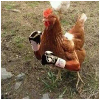 🐓 emoji Average Twitter User Reaction 🐦 Telegram sticker 7 of 38