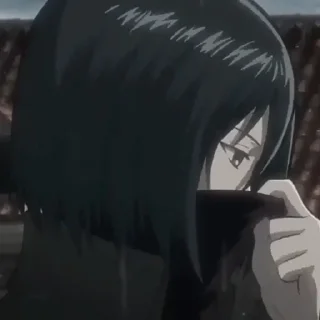 😐 emoji Mikasa Ackerman Telegram sticker 24 of 28