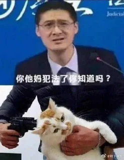 😺 emoji 表情 @biaoqingbao02 吃瓜 @FLLCG Telegram sticker 10 of 120