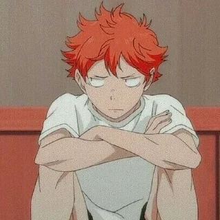 Sticker from Hinata Shoyo🍊