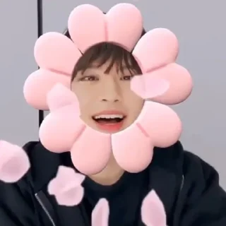 🧚‍♀ emoji seungmin Telegram sticker 13 of 33