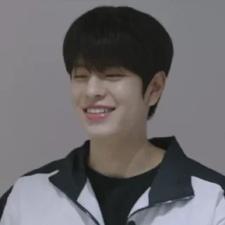 💖 emoji Seungmin - @RAYN_JAR Telegram sticker 16 of 43