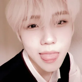 ☎️ emoji ︕ seongmin : @lilbebekuromi Telegram sticker 10 of 60