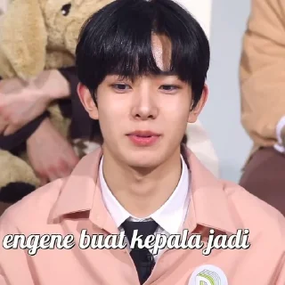 🦖 emoji ꜝꜞ ᳝ ࣪ % HEESEUNG› ࣪ ˖ ⌕ ; @jjxlie30 Telegram sticker 23 of 31
