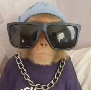 🌟 emoji dipak’s monkeys Telegram sticker 5 of 91