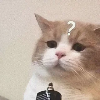 😏 emoji Funny cat • @stickersbyvj Telegram sticker 6 of 29