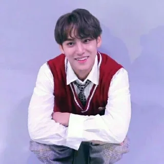 Sticker from ﹟kim mingyu ⋆ @randomtikell
