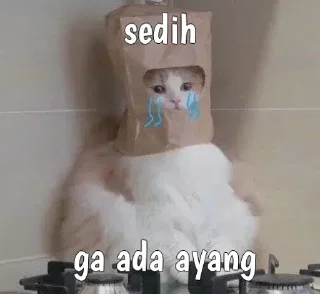 😿 emoji Pack Cat I • @anjaspakeks Telegram sticker 20 of 72