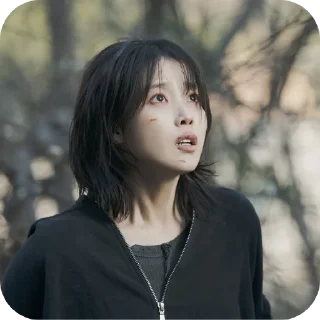 🙂 emoji IU Telegram sticker 5 of 40