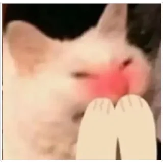 😳 emoji 味玉 Telegram sticker 24 of 107