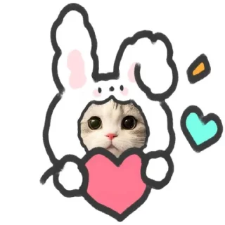 🌟 emoji @Opstickerpacks ✨cute cats⚡️🌸 Telegram sticker 13 of 36