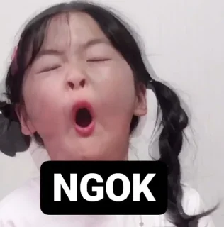 🐽 emoji TIKEL NANA Telegram sticker 5 of 40