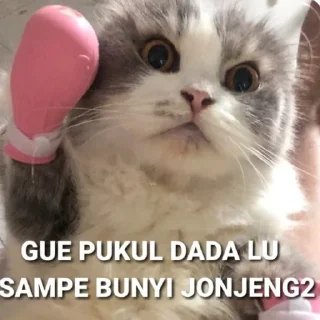 😤 emoji jie Telegram sticker 13 of 45