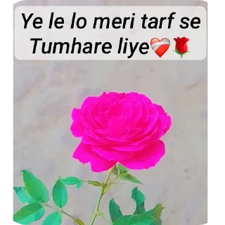 🌸 emoji @dil_ke_alfazzz Telegram sticker 9 of 120