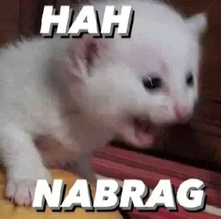 😣 emoji Restu Sengklek Telegram sticker 21 of 52