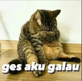 😭 emoji Restu Sengklek Telegram sticker 16 of 52