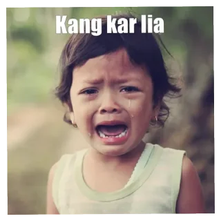 😭 emoji Memesters desi @thememester Telegram sticker 8 of 67
