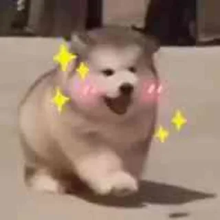☺️ emoji 地表最强脚气药微信Dmnzdl Telegram sticker 16 of 109