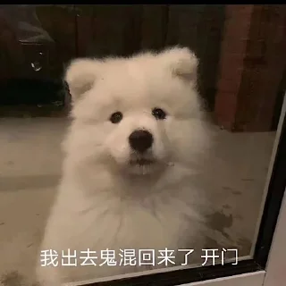 😋 emoji Samoyed & more by TARS Telegram sticker 8 of 60