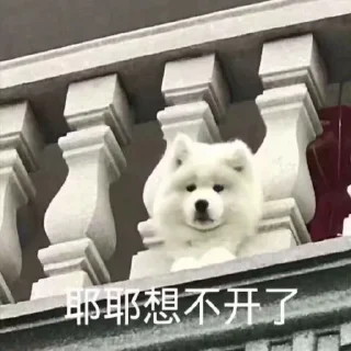 😊 emoji 萨摩耶(Samoyed) & more by @momo_li ⭐️ Telegram sticker 11 of 120