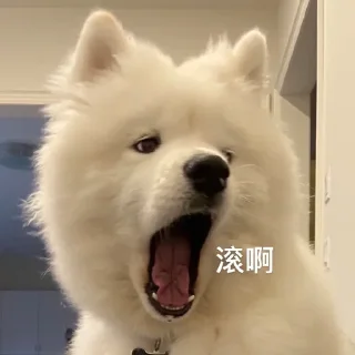 😙 emoji 萨摩耶(Samoyed) & more by @momo_li ⭐️ Telegram sticker 22 of 120