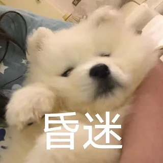 😵‍💫 emoji Samoyed & more by TARS Telegram sticker 5 of 60