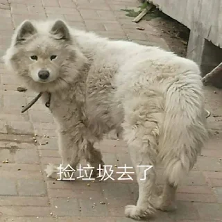 😌 emoji 萨摩耶(Samoyed) & more by @momo_li ⭐️ Telegram sticker 17 of 120