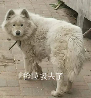 Sticker from Samoyed & more by TARS