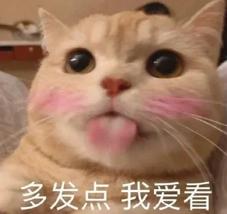 Sticker from @langyouvip 专属表情包