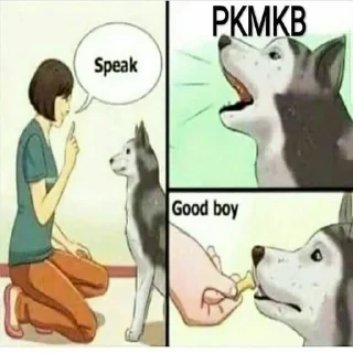 😂 emoji PKMKB [Pakistan Ki Maa Ka Bhosda] Telegram sticker 17 of 57