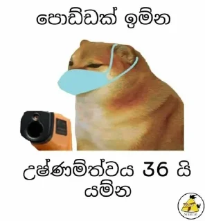 🤚 emoji 👋🏻HOLA.. Library.. @thestatusbot Telegram sticker 11 of 68