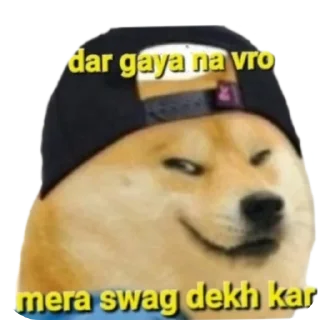 Sticker from @Boomer_chamta_vimdhayak 's sticker pack