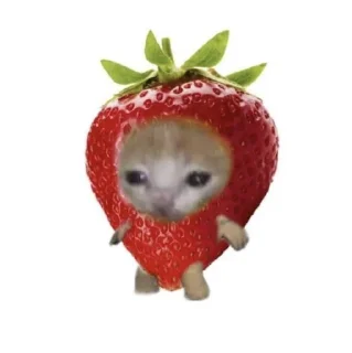 😺 emoji ceng @muhammadelang Telegram sticker 6 of 19